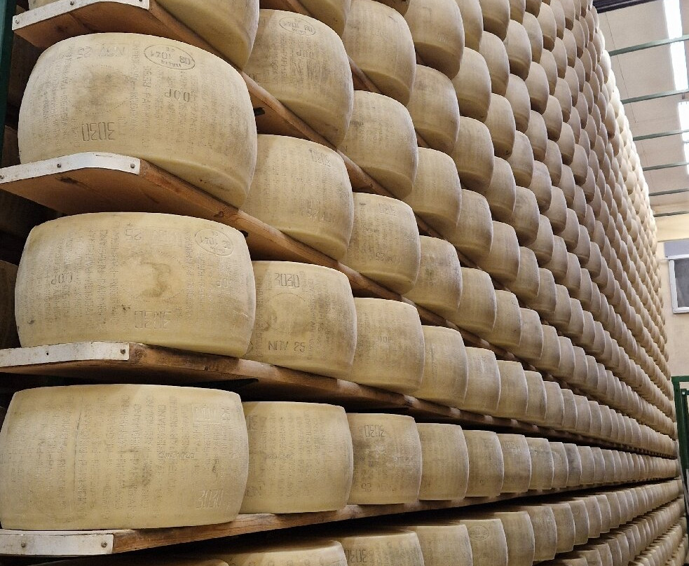 Azienda Agricola Bertinelli-Medesano必去景点