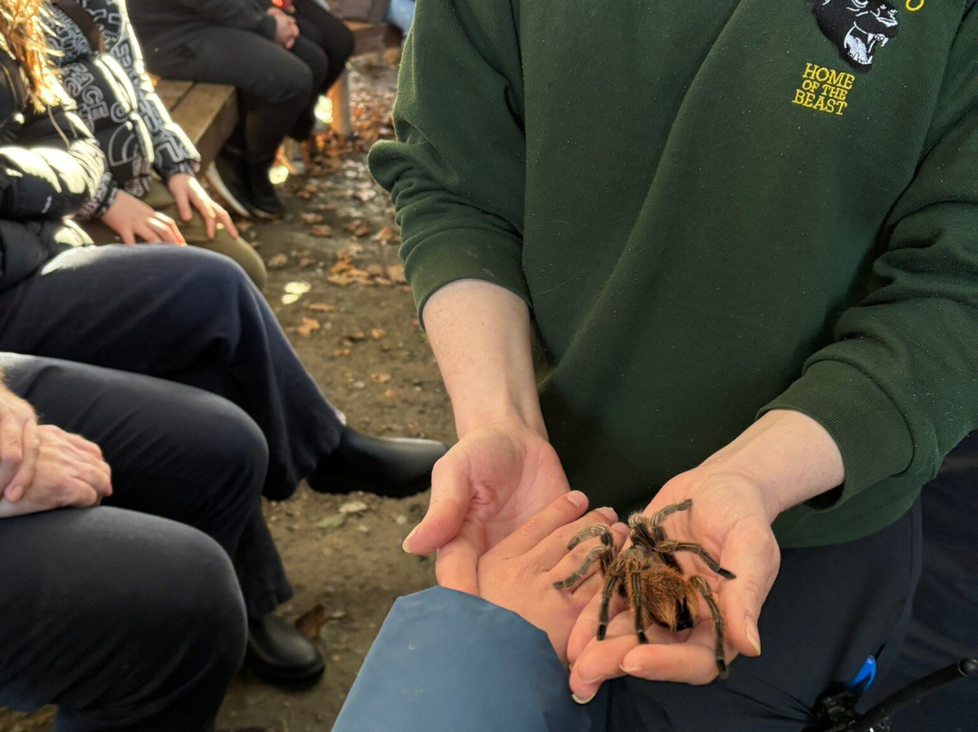 Exmoor Zoo-巴恩斯特珀尔必去景点