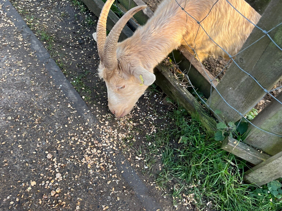 Kent Life-梅德斯通必去景点