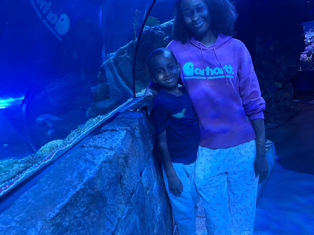 SEA LIFE Aquarium-卡尔斯巴德必去景点