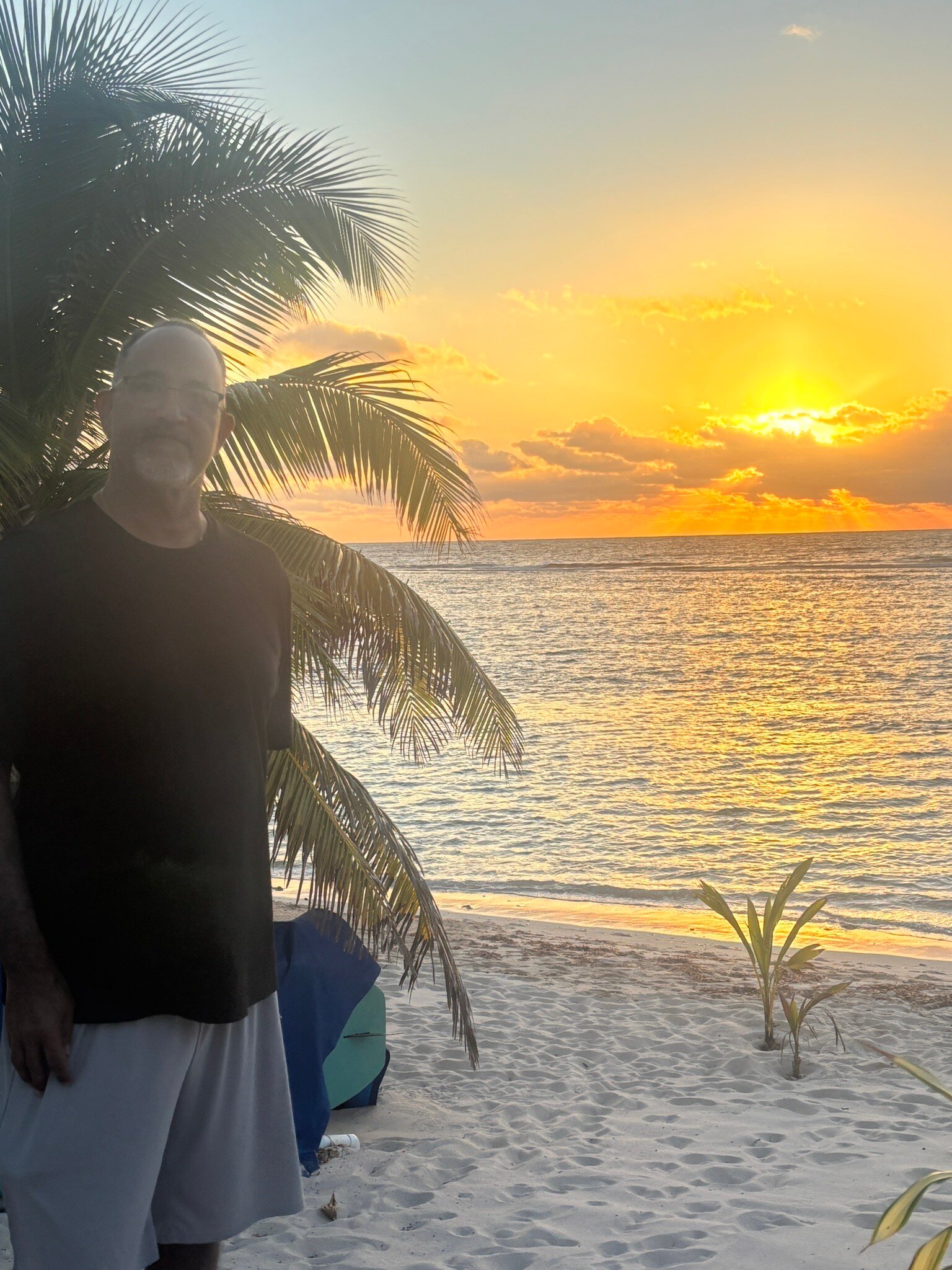 Turtle Nest Inn-官方