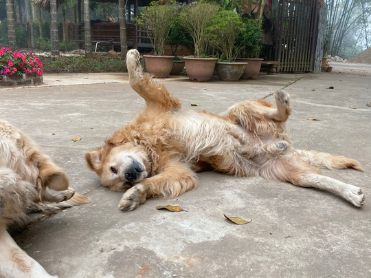 La Maison De Buoc主图