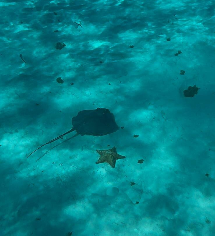 VivaOhlala-普拉亚德尔卡曼必去景点