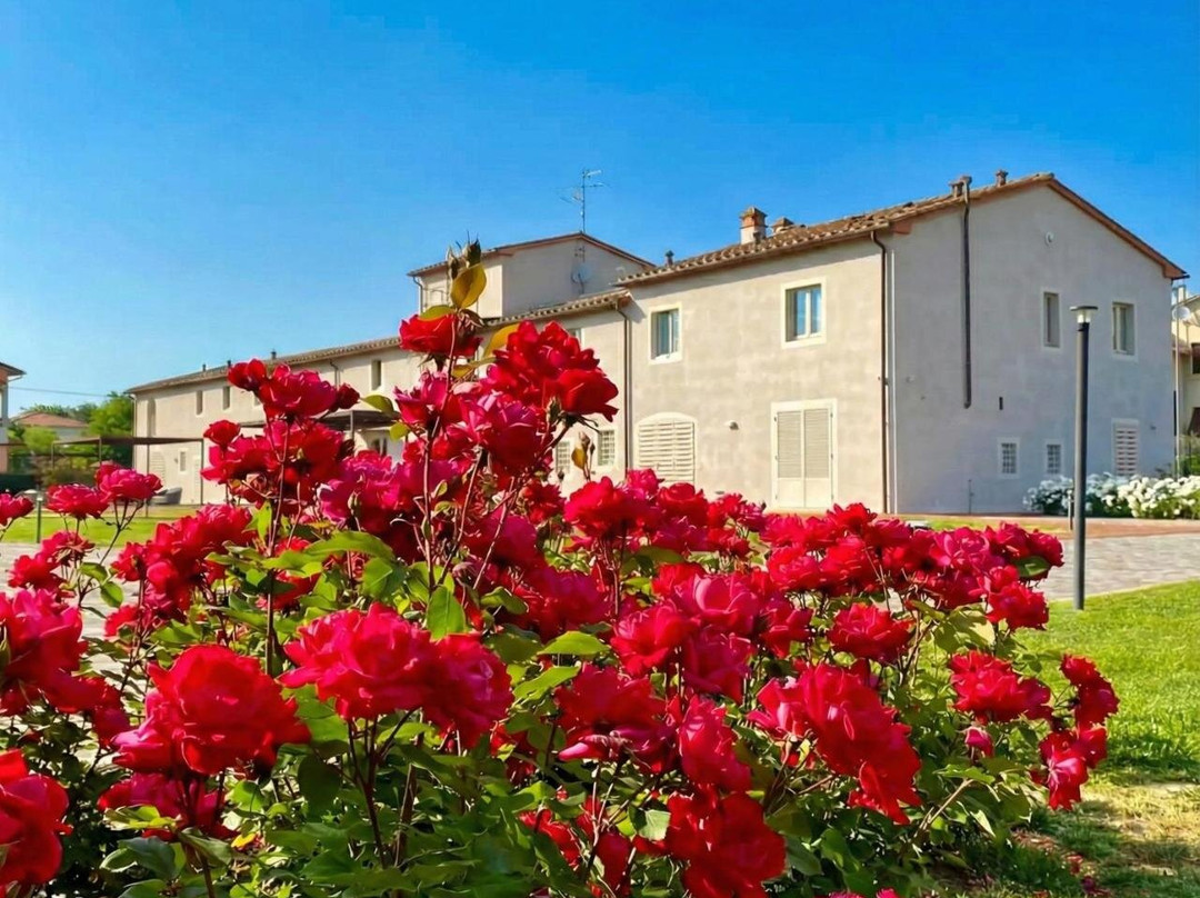 Agriturismo Saliceto