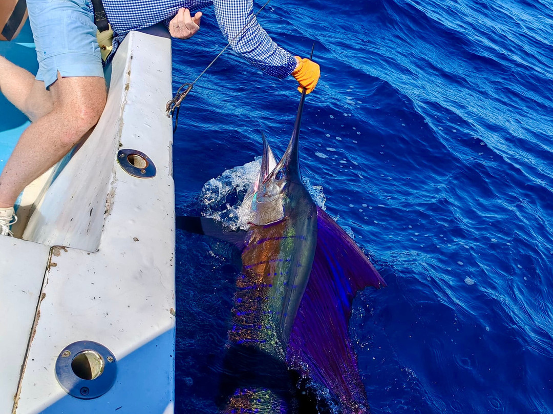 Day Trips Costa Rica-恶土城必去景点