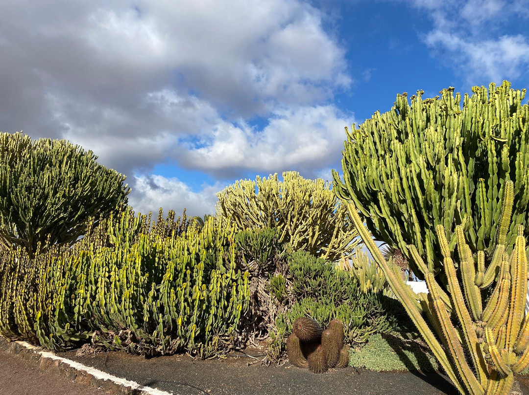 Museo del Queso Majorero-Antigua必去景点