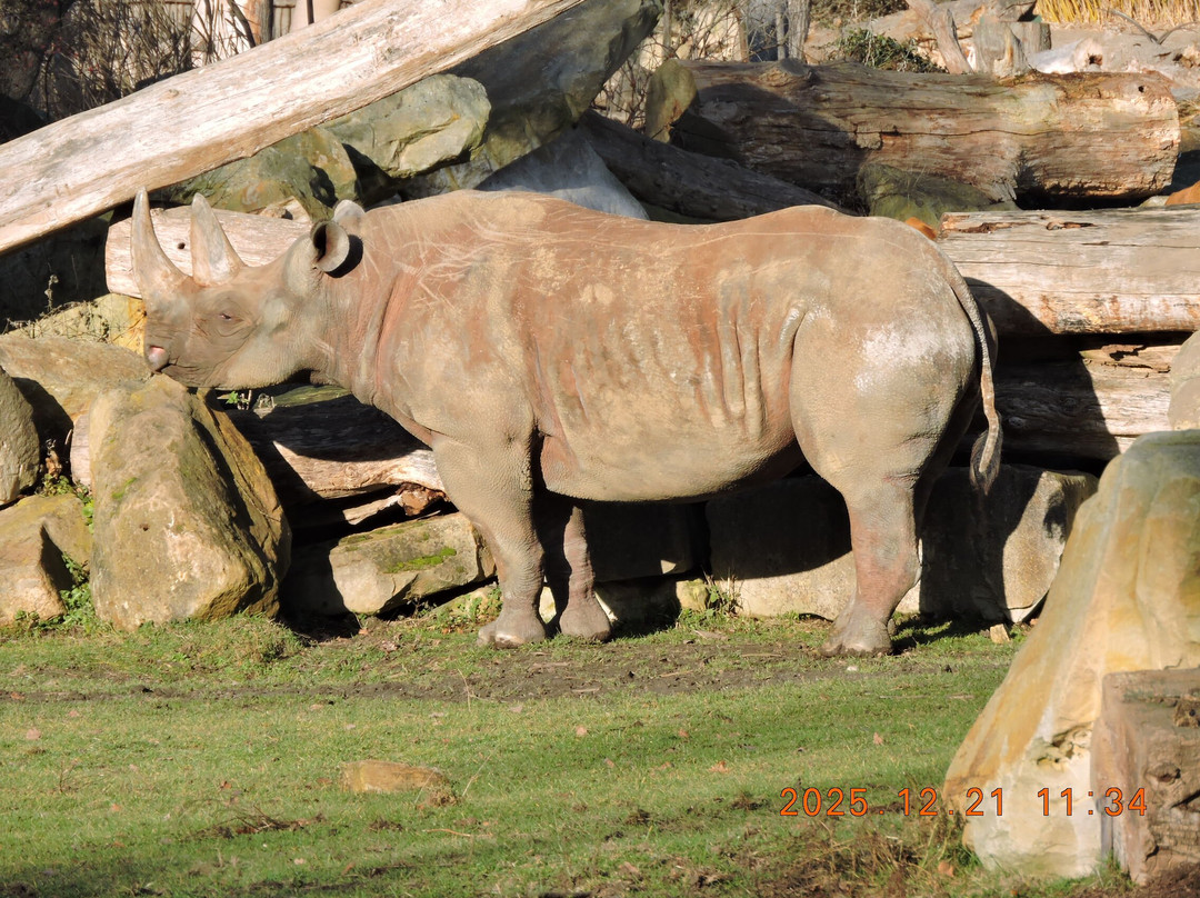 Zoo Leipzig-莱比锡必去景点