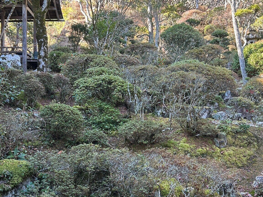 Kongojoji Temple-福崎町必去景点