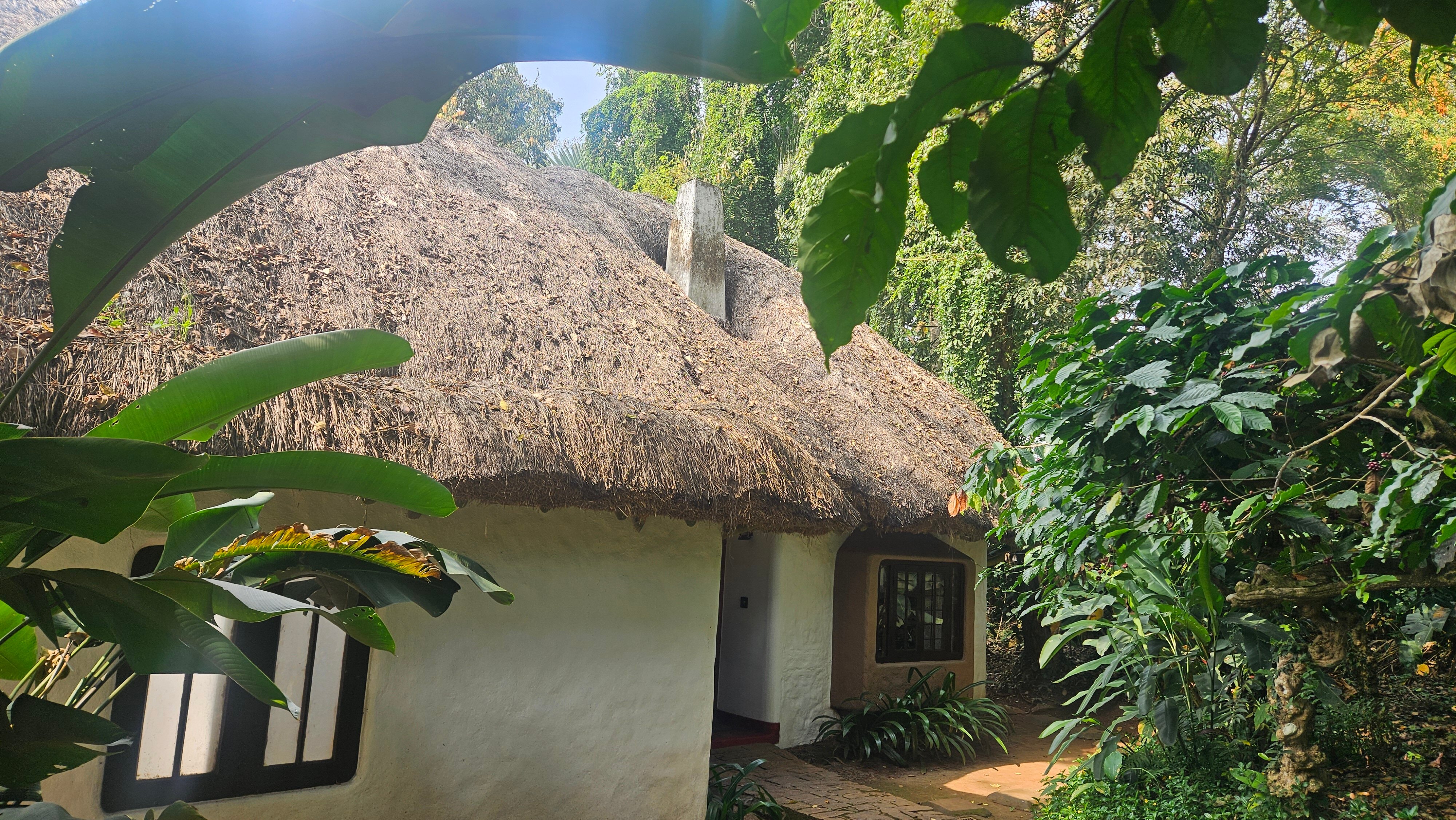 Evolve Back, Coorg-客卧