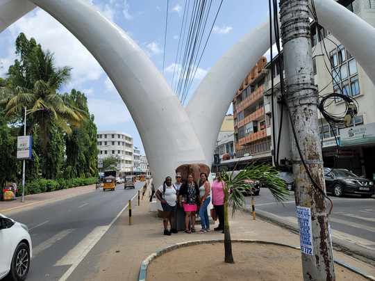 Traverze Culture-奥兰多必去景点