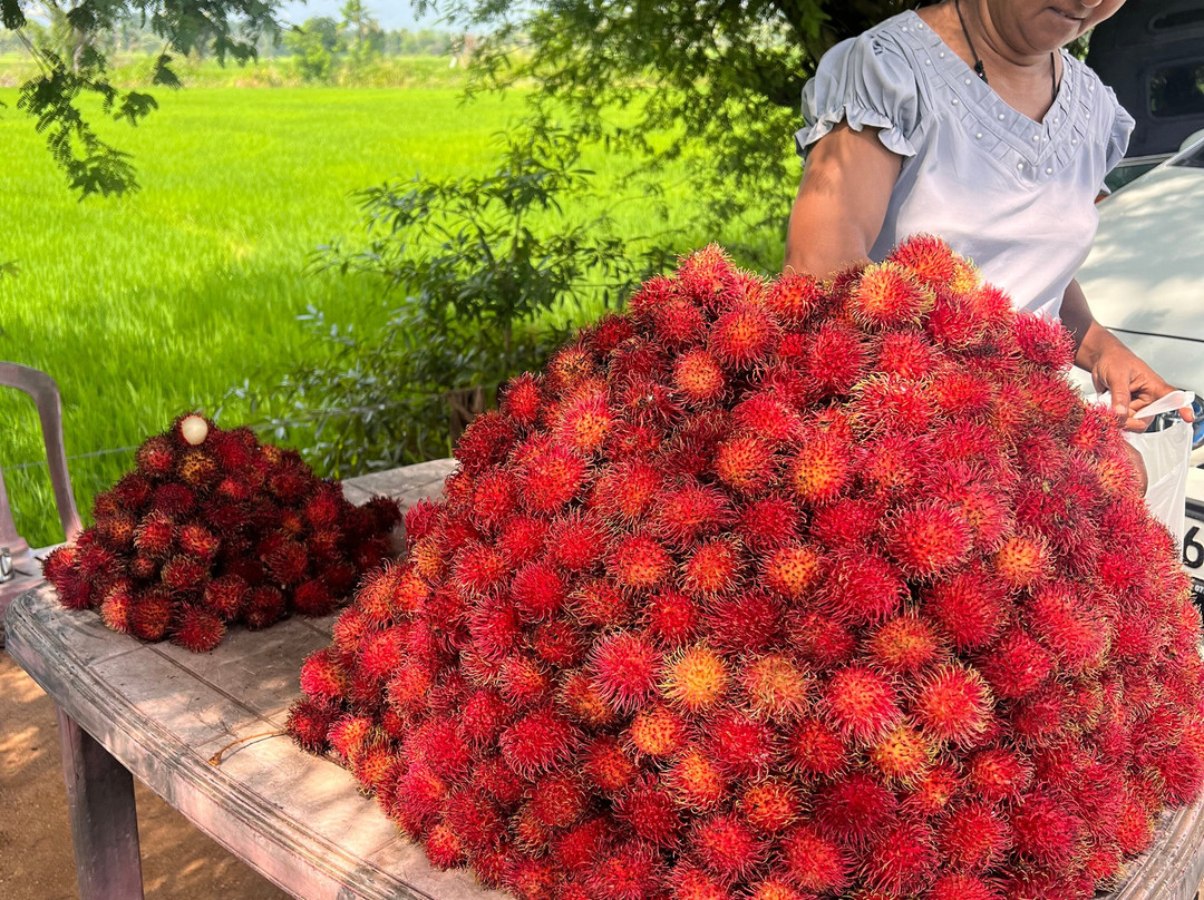 Ceylon Odyssey Travels & Tours-Kiribathgoda必去景点