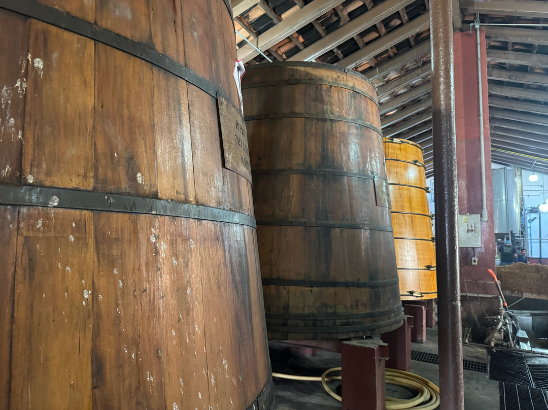 Tequila Fortaleza-特基拉必去景点