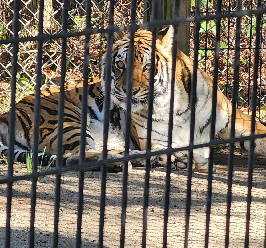 Zoo World Zoological Park-巴拿马城海滩必去景点