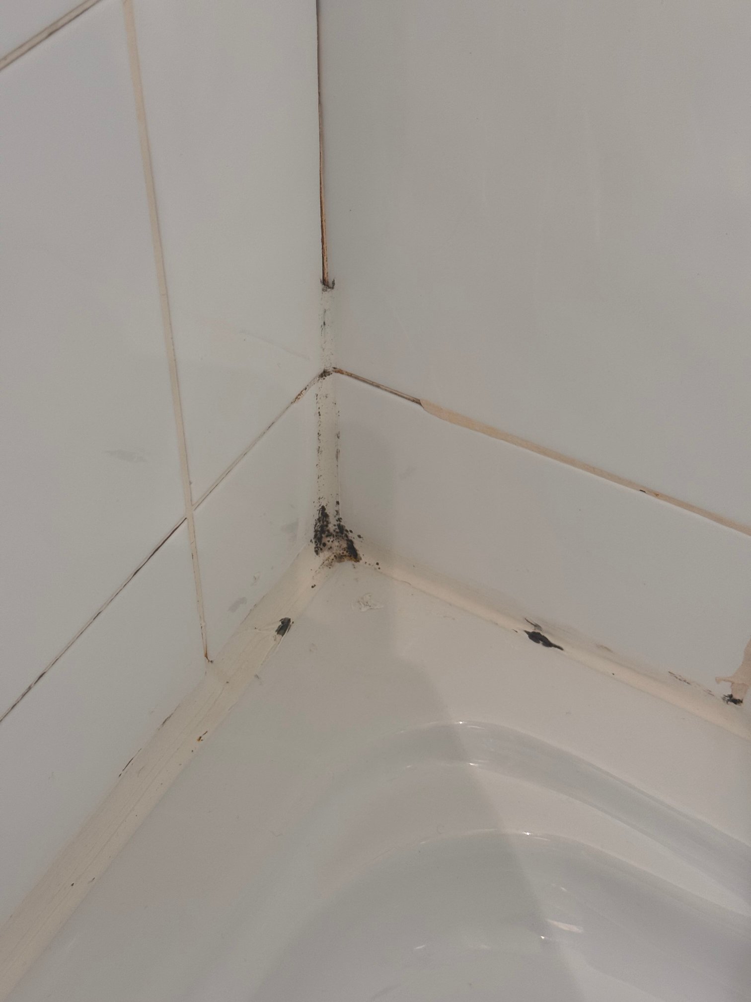 塞祖尔阿菲尔巴黎马拉科夫酒店-官方