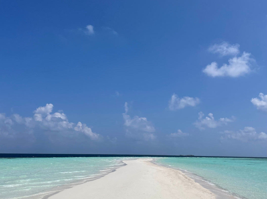 Into the Blue Lodge主图