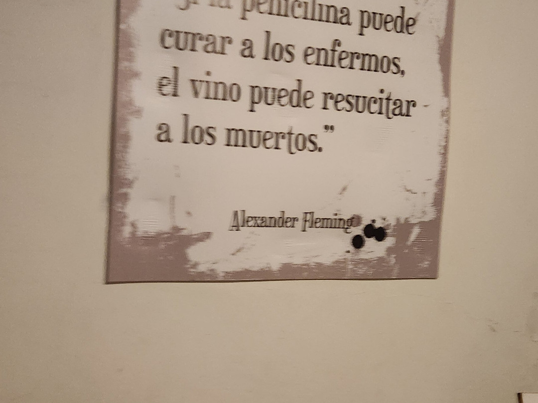 Bodega Labiano-圣拉斐尔必去景点