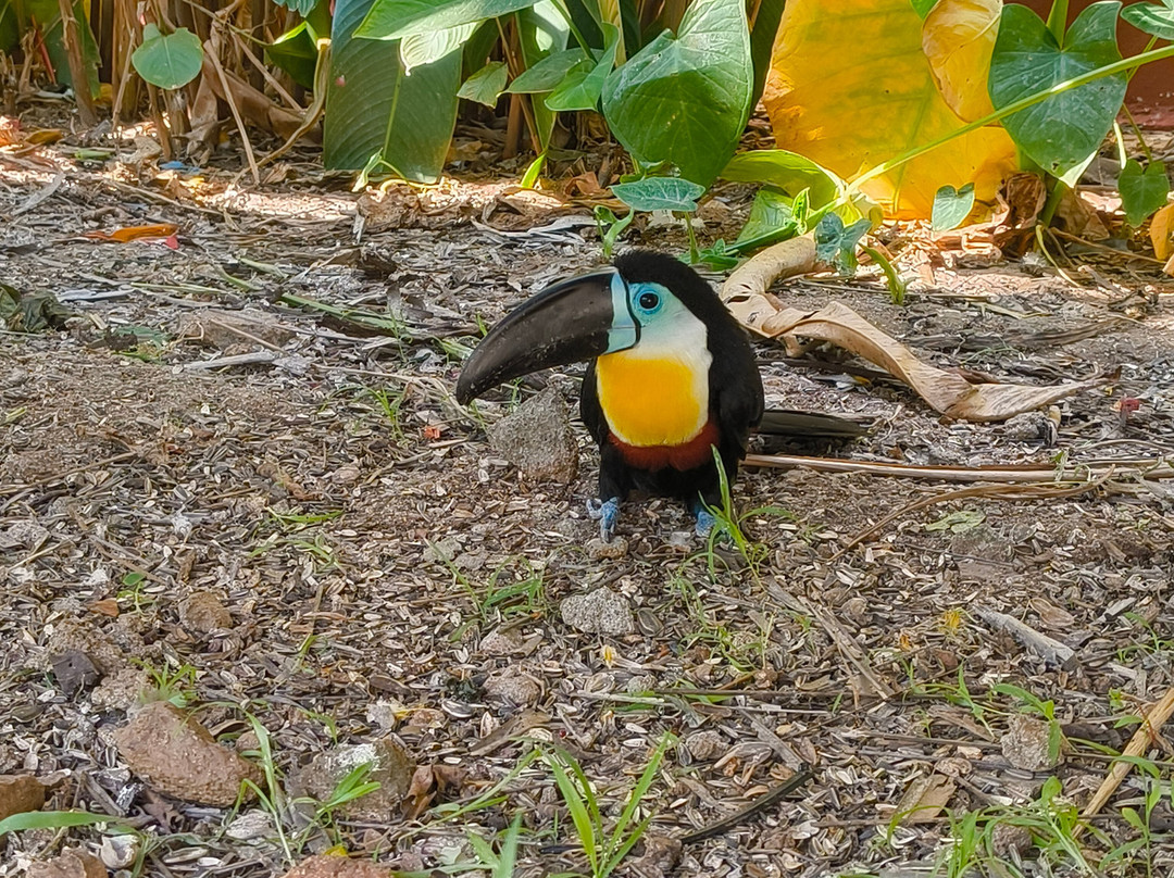 Fundera Park-Yelagiri必去景点
