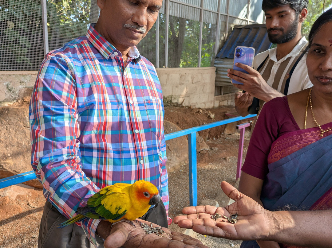 Cloud Forest Entertainment Park-Yelagiri必去景点