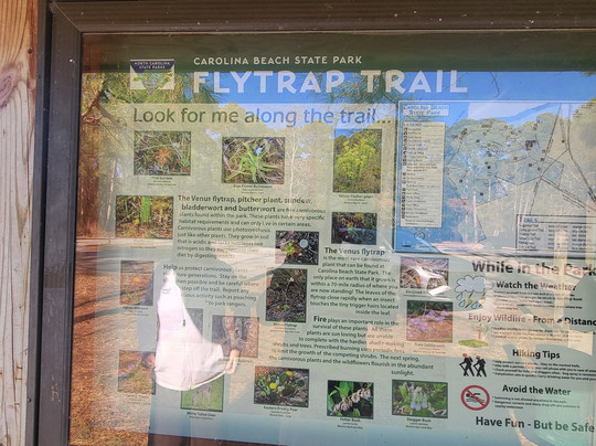 Carolina Beach State Park-卡罗来纳比奇必去景点