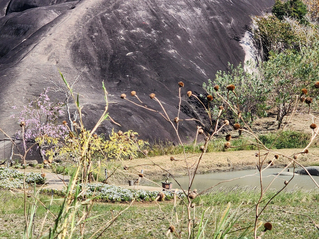 Dalat Discovery Travel-大勒必去景点