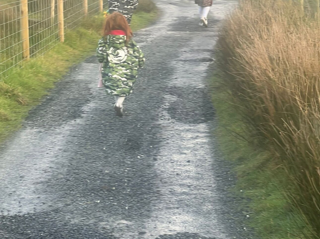 The Ark Open Farm-Newtownards必去景点