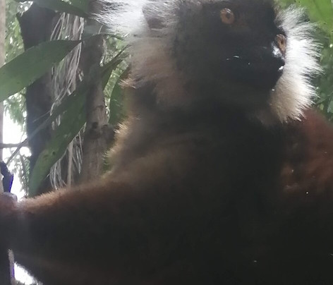 Nosy Be Tour Con Rico Aime-Hell-Ville必去景点