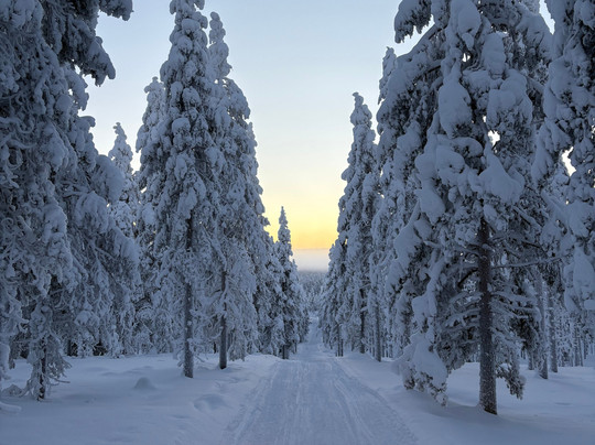 Safartica Yllas-Yllasjarvi必去景点