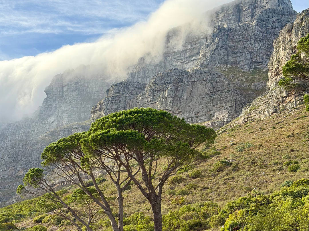 Namibia Tours & Safaris-斯瓦科普蒙德必去景点