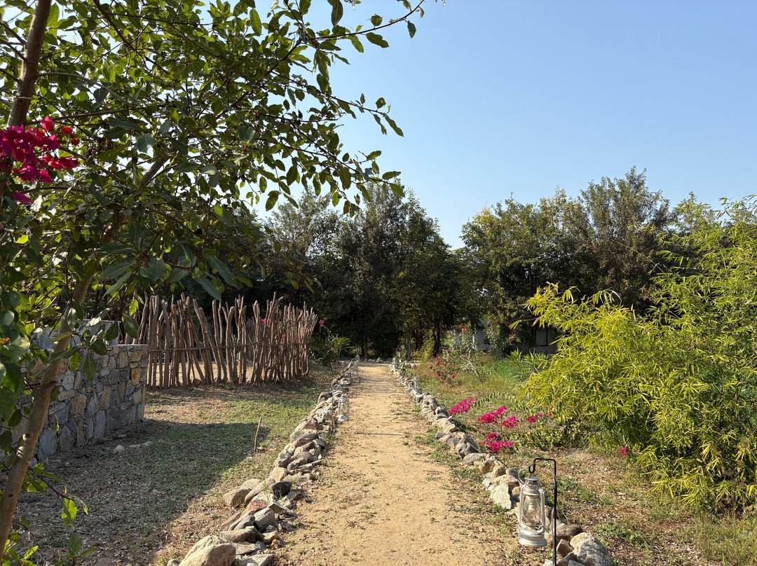 INDICAFILA TRAVEL AND HOSPITALITY-里希克虚必去景点