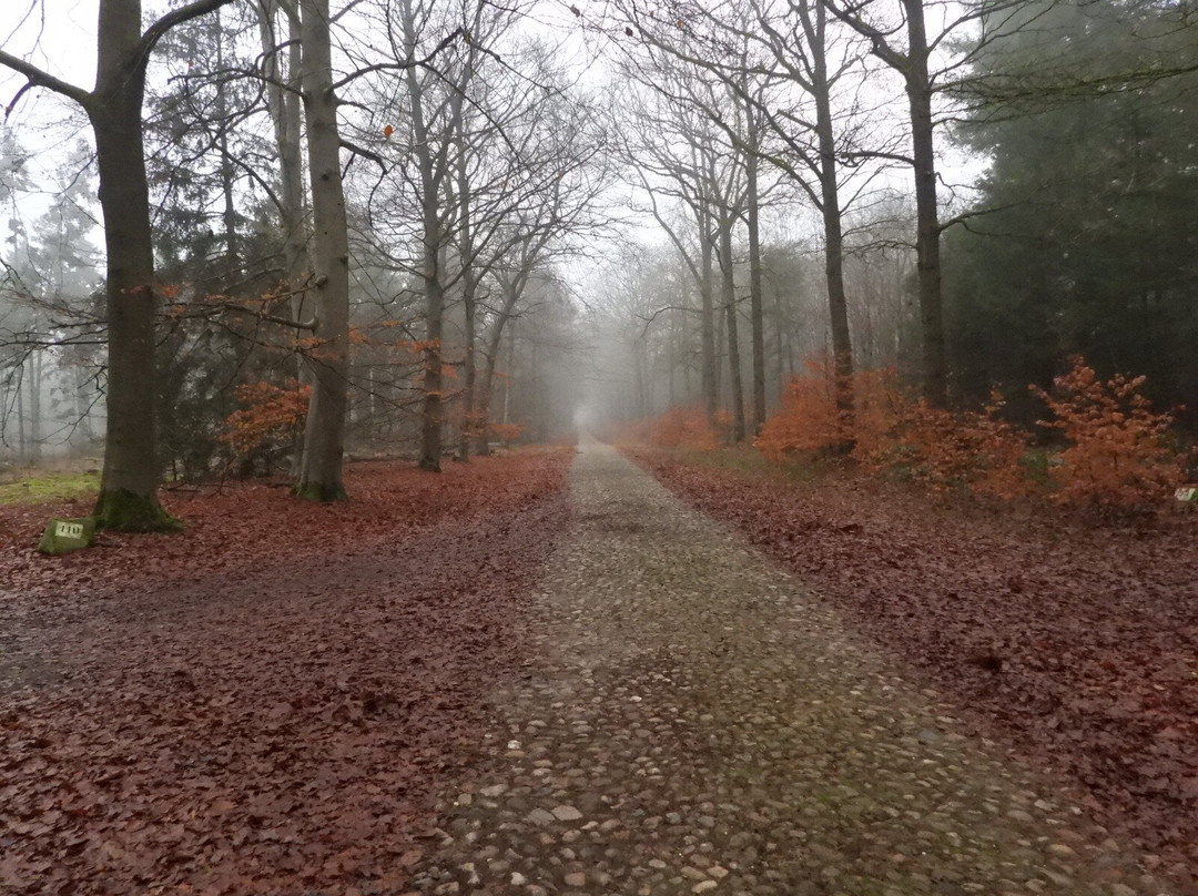 Eko-Tours-Exloo必去景点