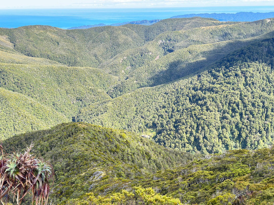Paparoa Shuttles-格雷茅斯必去景点