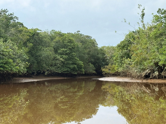 Brunei River-斯里巴加湾必去景点