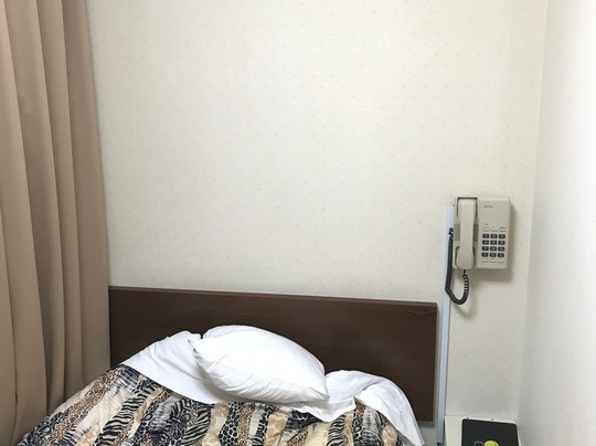 Business Hotel Station主图