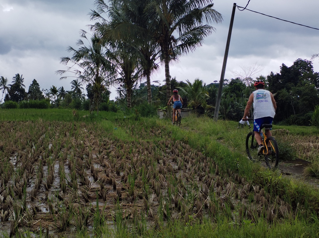 Bali Fun Bike Adventure-Pejeng Kaja必去景点