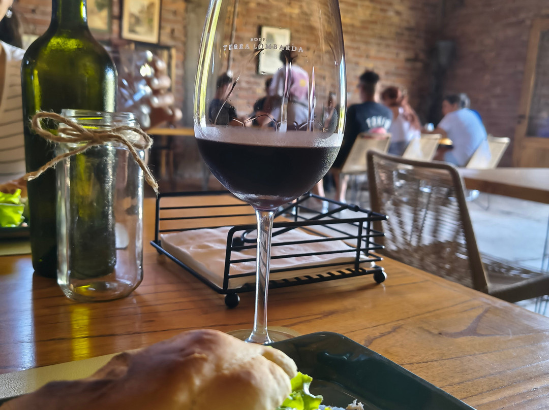 Bodega Terra Lombarda-圣拉斐尔必去景点
