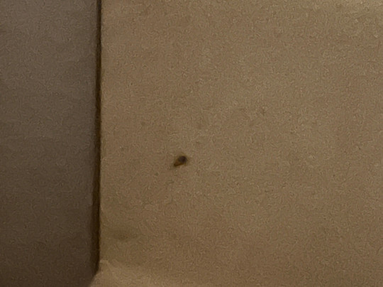 Extended Stay America Select Suites - Kalamazoo - West主图