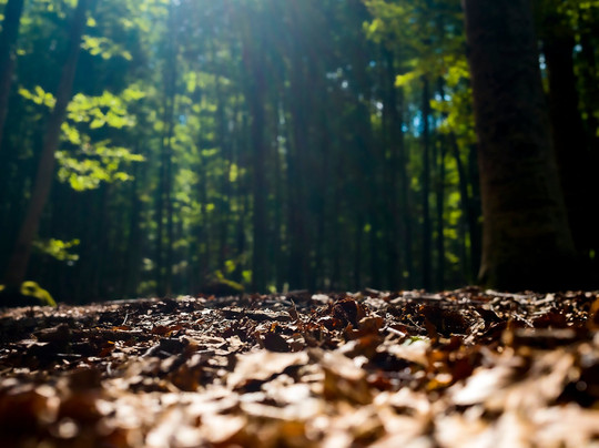 Monte Amiata-托斯卡纳必去景点