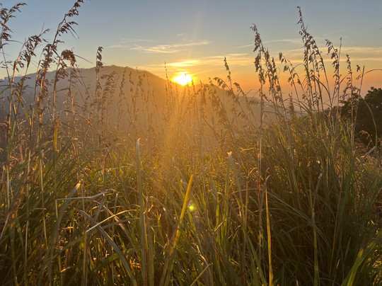 Travel with Wijaya-科伦坡必去景点