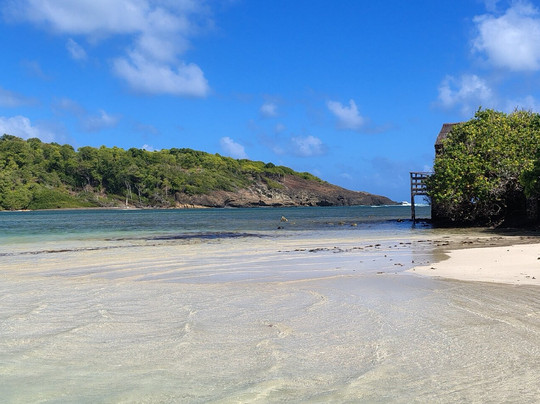 TY-Domino Catamaran-Le Robert必去景点