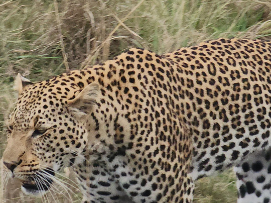 Travelcare Limited-内罗毕必去景点