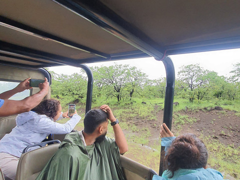 Bushbaby Adventures-伐拉博瓦必去景点