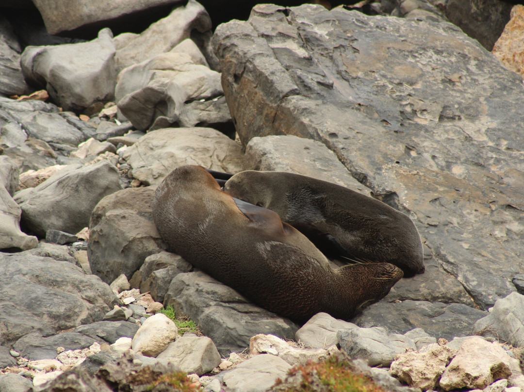 Admirals Arch-袋鼠岛必去景点