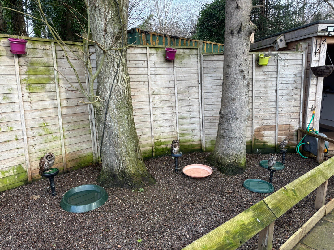 Dalhousie Castle Falconry-邦尼里格必去景点