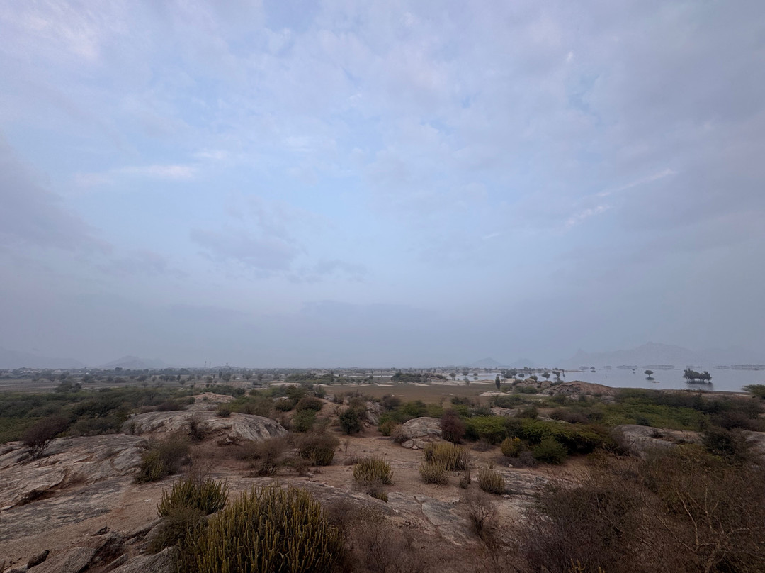 The Jawai Safari-Jawai Bandh必去景点