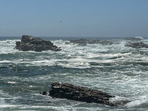 Bird Island Nature Reserve-兰伯特湾必去景点
