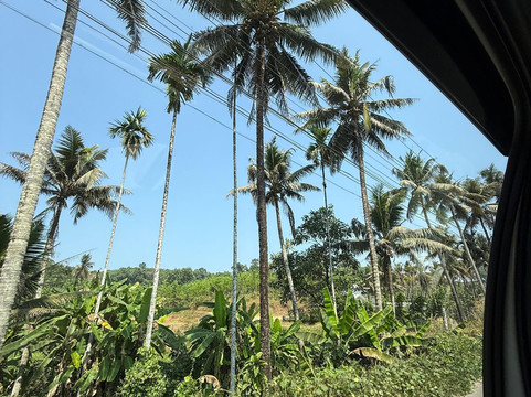 Kochi Taxi 24X7-柯钦必去景点