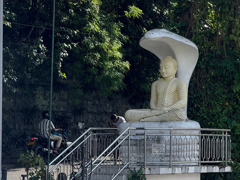 Sara Kandy Tours-康提必去景点