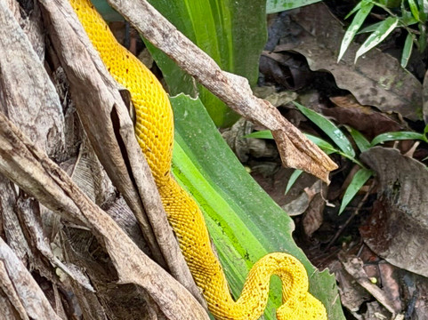 Alex On The Beach Tours-萨迪纳尔必去景点