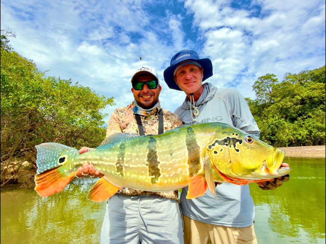 Fish Colombia-麦德林必去景点