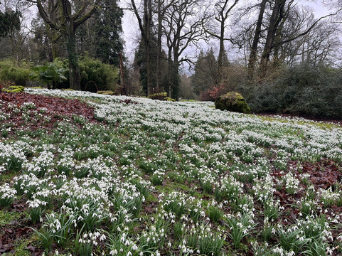 Batsford Arboretum-莫顿因马什必去景点